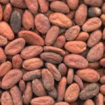 Какао-бобы сорт Форастеро отборные